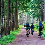 In Ko Obrzeg Near Baltic *