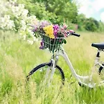 In Ko Obrzeg Near Baltic *